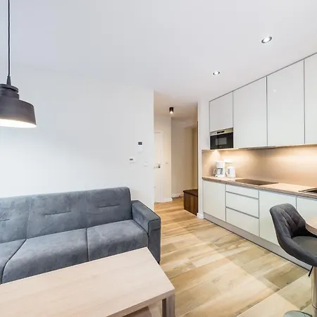 Apartament Rakowicka 15 Old Town Deluxe Wawelofts *