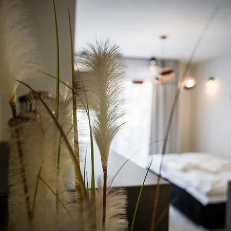 Apartament Rakowicka 15 Old Town Deluxe Wawelofts *
