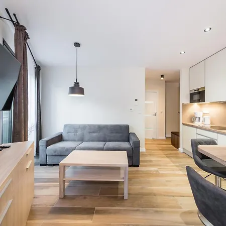 Apartament Rakowicka 15 Old Town Deluxe Wawelofts * Krakow