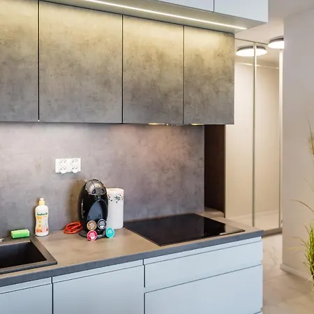 Apartament Rakowicka 15 Old Town Deluxe Wawelofts * Krakow